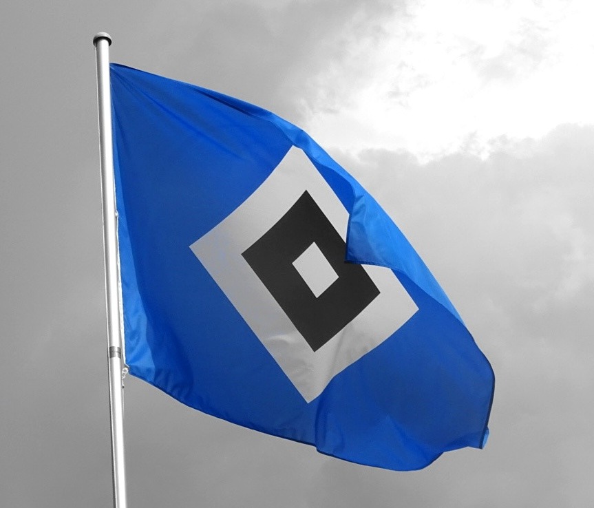 85fahnequadrat